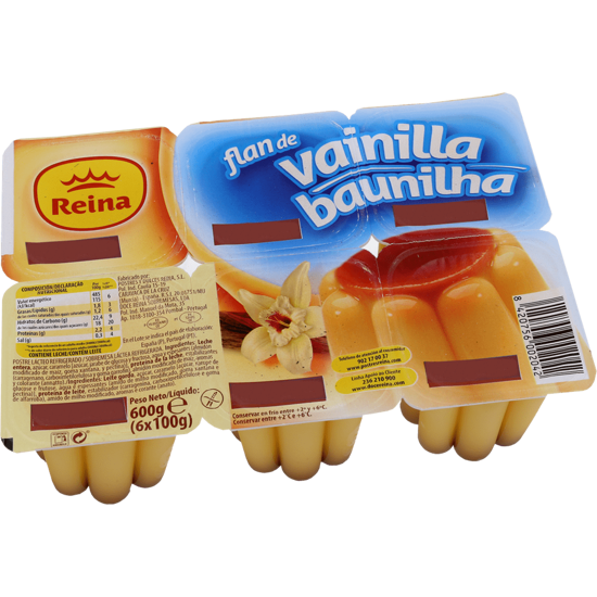 45666 - SOBR PUDIN FLAN BAUNILHA REINA 6x100gr (8)